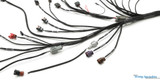 Standalone S13 SR20DET Swap  Wiring Harness