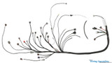 Universal / Standalone S13 SR20DET Swap  Wiring Harness