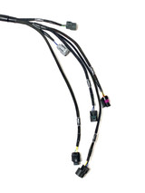 Wiring Specialties K-Series Honda Acura K20 K24 FWD to RWD Complete Engine Swap Harness Plug-N-Play