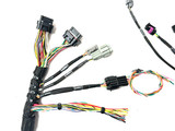 BMW E30 Wiring Specialties K-Series Honda Acura K20 K24 FWD to RWD Complete Engine Swap Harness Plug-N-Play for Wire-In Aftermarket ECUs like LINK & Haltech Elite BMW E30 Wiring Specialties K-Series Honda Acura K20 K24 FWD to RWD Complete Engine Swap Harness Plug-N-Play for Wire-In Aftermarket ECUs like LINK & Haltech Elite