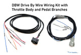 Drive By Wire Wiring Kit with Throttle Body and Pedal Branches (WRS-DBW-KIT) 