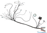 Standalone LS1 / Vortec Wiring Harness for MaxxECU Models