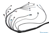 Standalone LS1 / Vortec Wiring Harness for MaxxECU Models