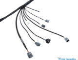 Standalone 2JZGTE 2JZGE VVTi swap wiring harness for MaxxECU Engine Management