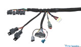 Standalone 1JZGTE VVTI swap wiring harness for MaxxECU Models - ZF 8HP Trans Supported
