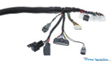 Standalone 1JZGTE VVTi ETCSi Engine Swap Wiring Harness for MaxxECU Models - ZF 8HP Trans Support