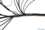 Universal / Standalone S13 SR20DET Engine Swap Wiring Harness for MaxxECU with ZF 8HP Trans Support