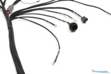 Standalone S14 SR20DET Engine Swap Wiring Harness for MaxxECU with ZF 8HP Trans Support
