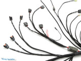 Standalone S14 SR20DET Engine Swap Wiring Harness for MaxxECU with ZF 8HP Trans Support