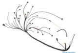 Standalone S15 SR20DET Engine Swap Wiring Harness for MaxxECU Models