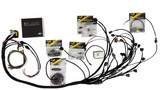 Universal / Standalone S13/S14 SR20DET Swap  Wiring Harness for ECU Master QuickShip PRO SERIES includes sensors and wiring Plug N Play N GO!