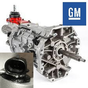 BMW E46 LS1 Wiring Harness | Wiring Specialties