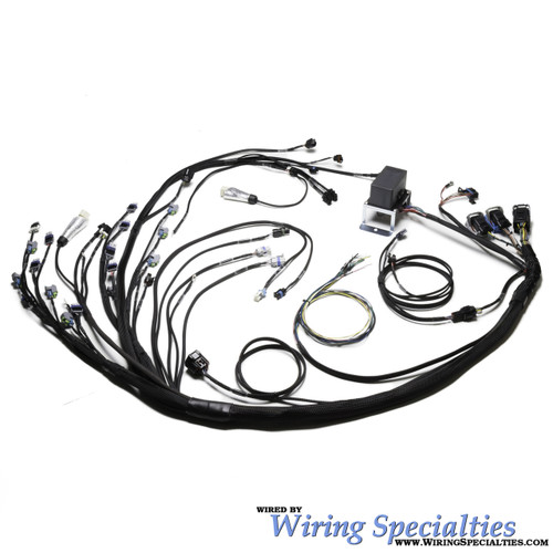 Standalone LS2 DBW Wiring Harness Standalone LS2 DBW Wiring Harness