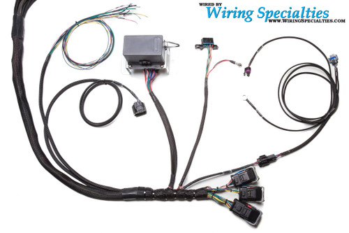 Standalone LS2 DBW Wiring Harness Standalone LS2 DBW Wiring Harness