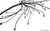 LS3 DBW PRO Wiring Harness