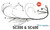 1JZGTE non-VVTi Wiring Harness for USDM Toyota SC300 SC400 - PRO SERIES