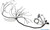 Standalone LS3 6.0L / L99 6.2L 58x DBW Wiring Harness for MaxxECU Models