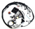 Standalone 1JZGTE VVTI swap wiring harness for MaxxECU Models - ZF 8HP Trans Supported