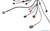 Standalone S14 SR20DET Engine Swap Wiring Harness for MaxxECU with ZF 8HP Trans Support