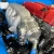 Outsider Garage Nissan SR20DET/RB20DET/KA24DE DBW OEM Throttle Body Adapter
