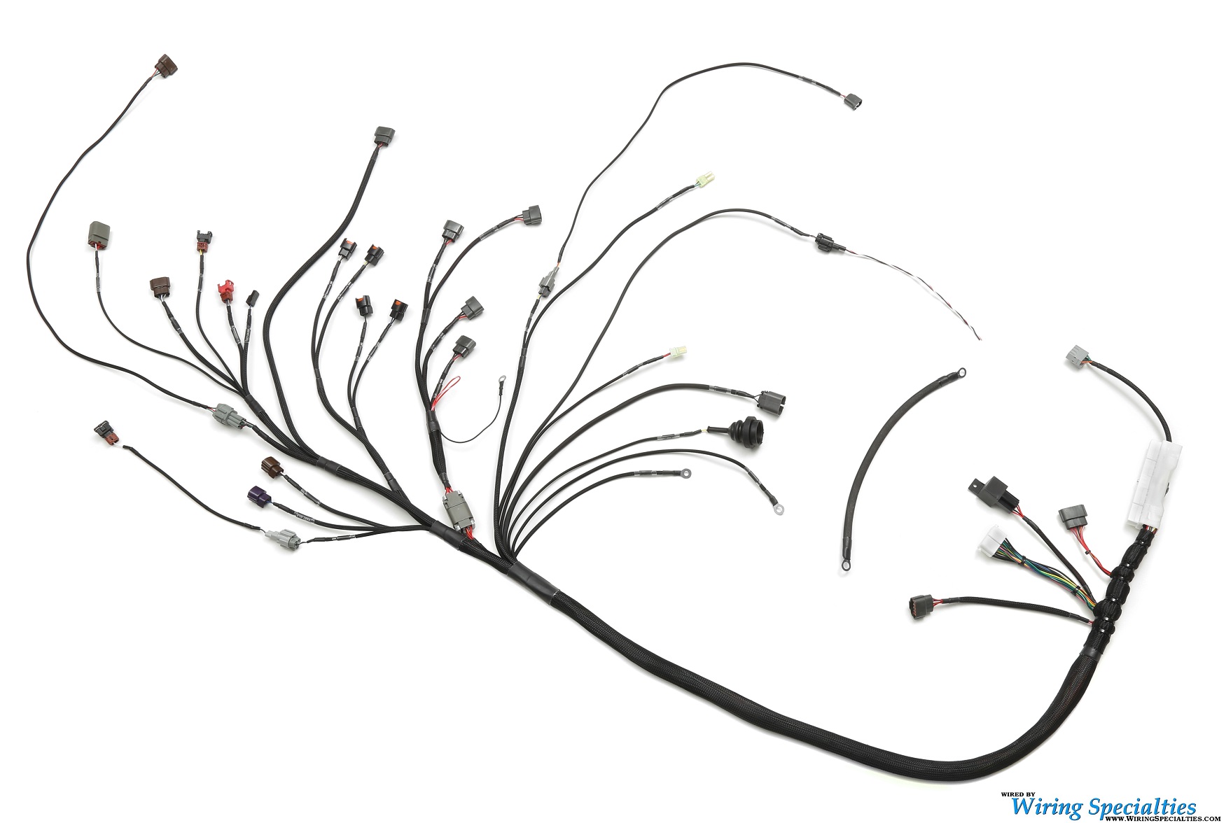 BMW E30 S14 SR20DET Swap Wiring Harness Wiring Specialties
