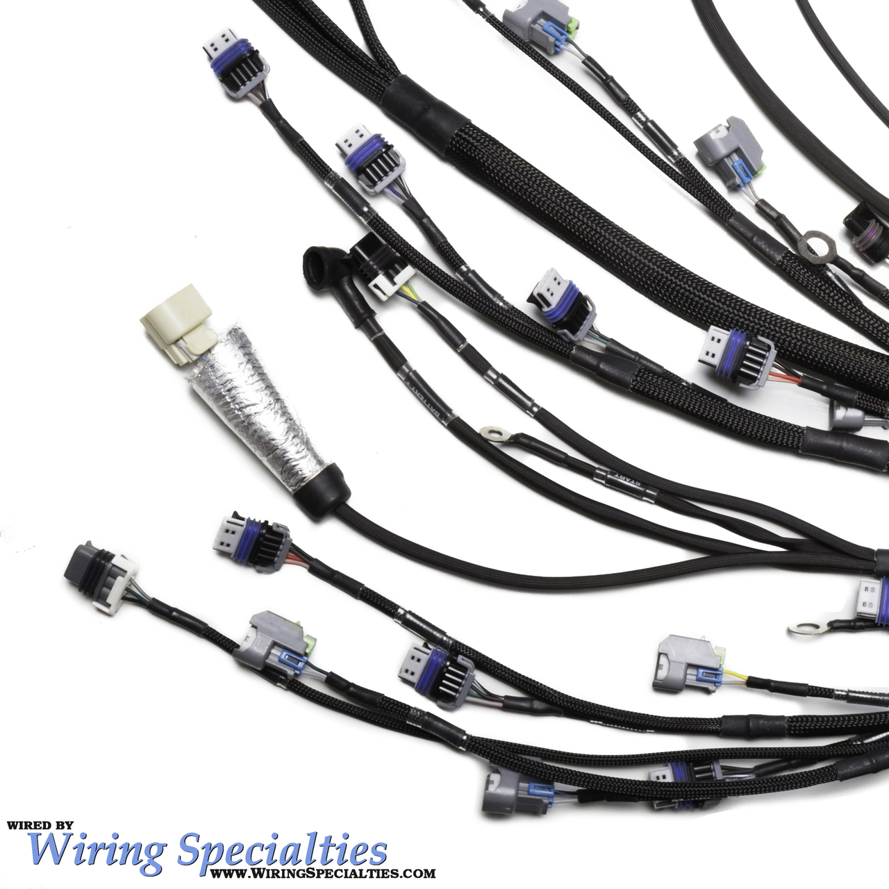 Universal Standalone Ls2 Dbw Wiring Harness Pro Series