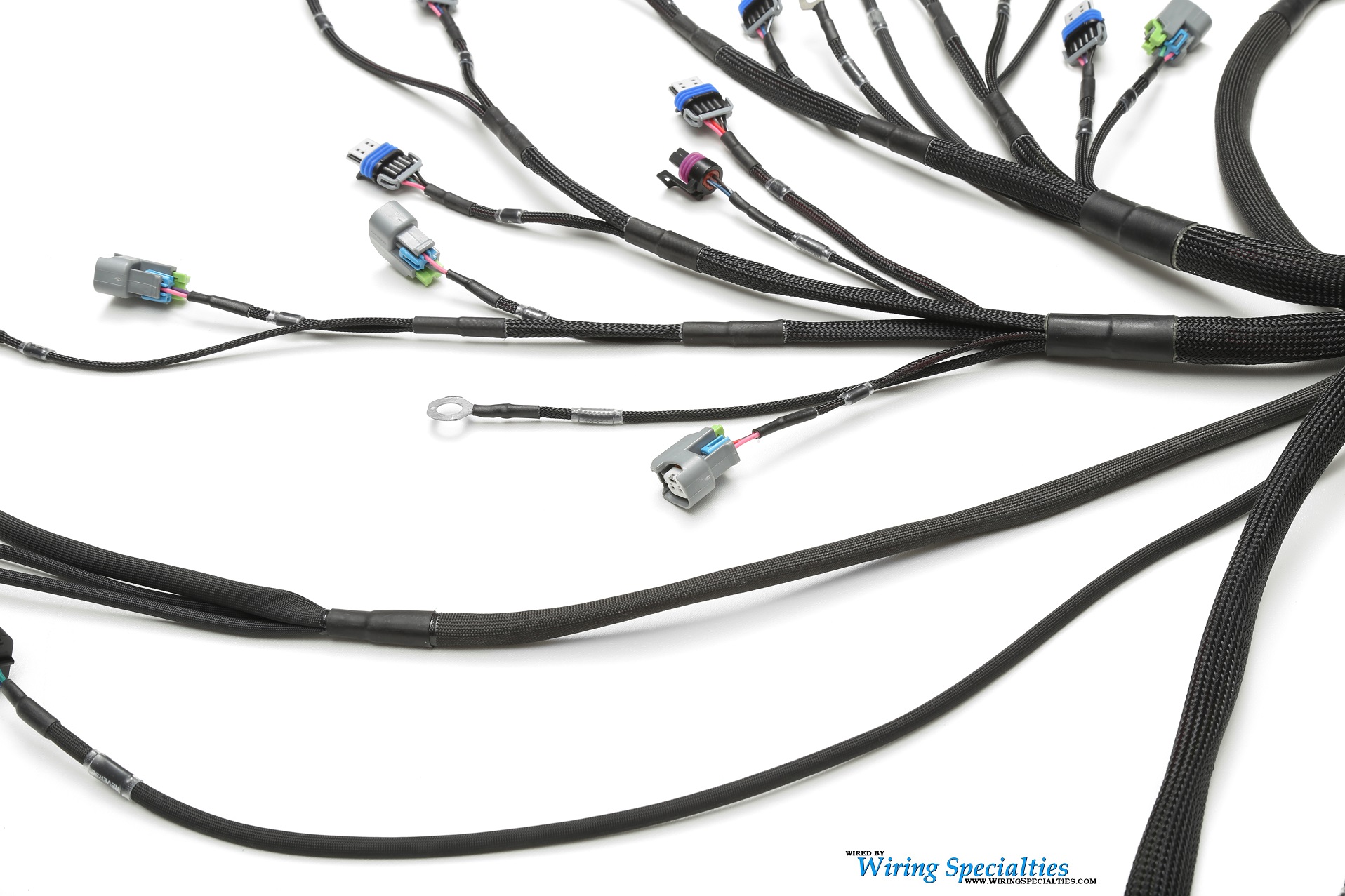 Standalone Ls3 L99 Swap Wiring Harness Drive By Wire Wiring