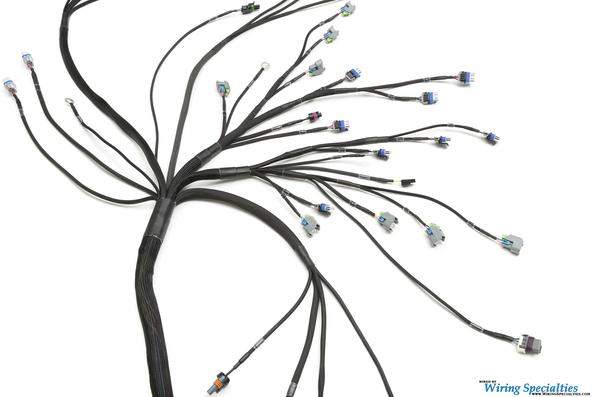 Standalone LS3/L99 Swap Wiring Harness | Drive by Wire | Wiring Specialties