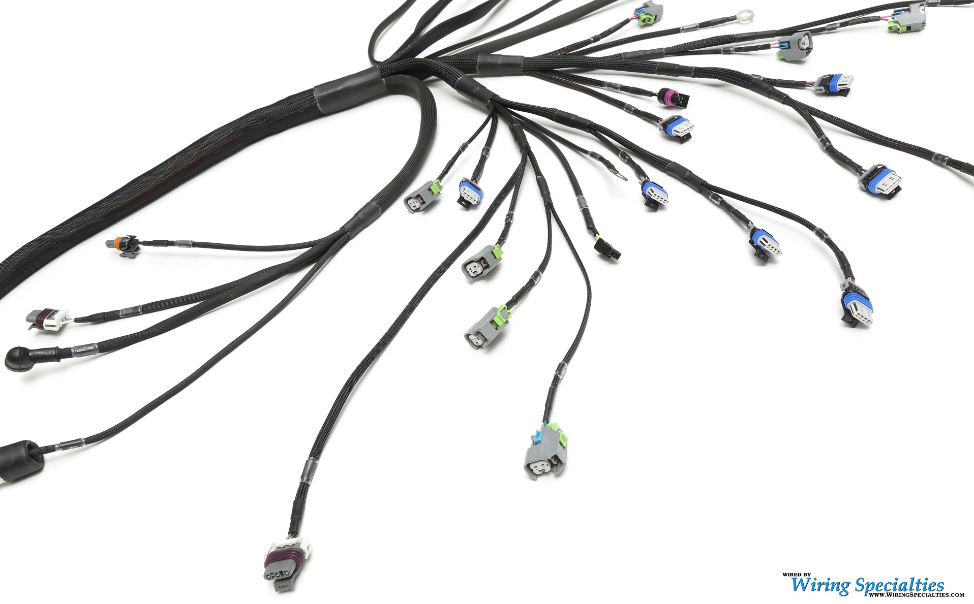 Standalone LS3/L99 Swap Wiring Harness | Drive by Wire | Wiring Specialties