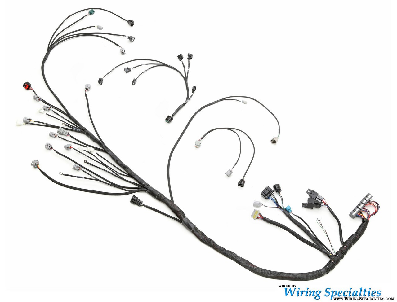 Standalone 1jzgte Wiring Harness Wiring Specialties