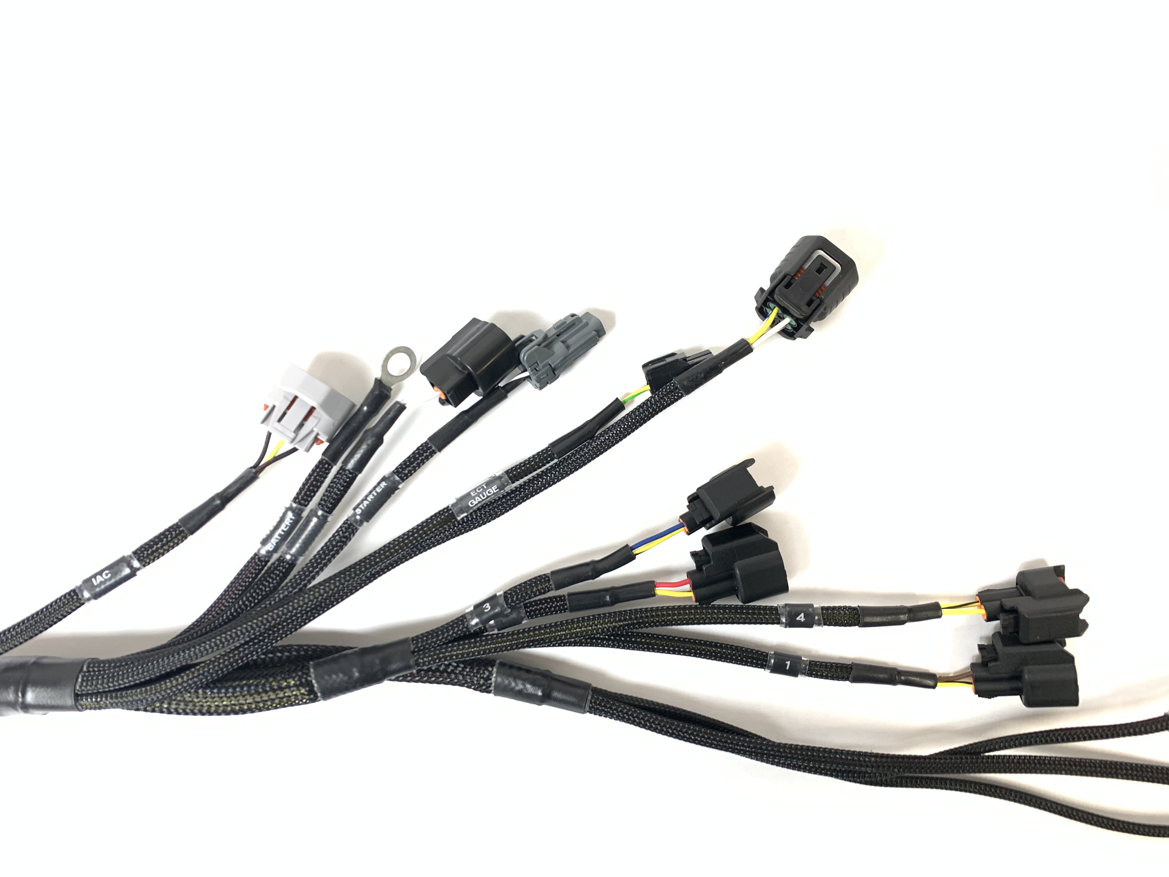 Standalone K20/K24 Wiring Harness RWD K Series Swap Wiring Specialties