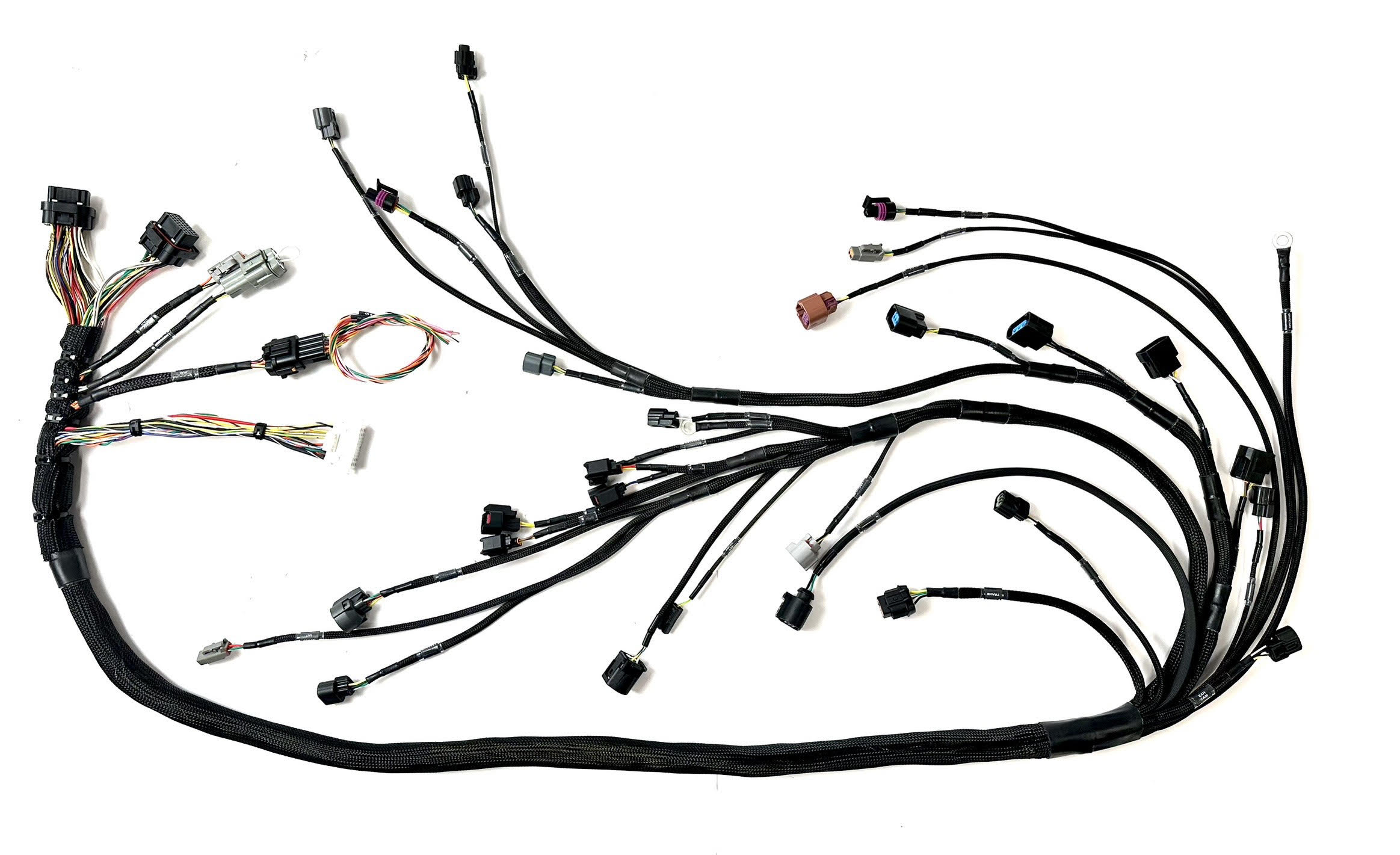 BMW E46 K Series Swap Wiring Harness for Haltech Elite ECUs Wiring