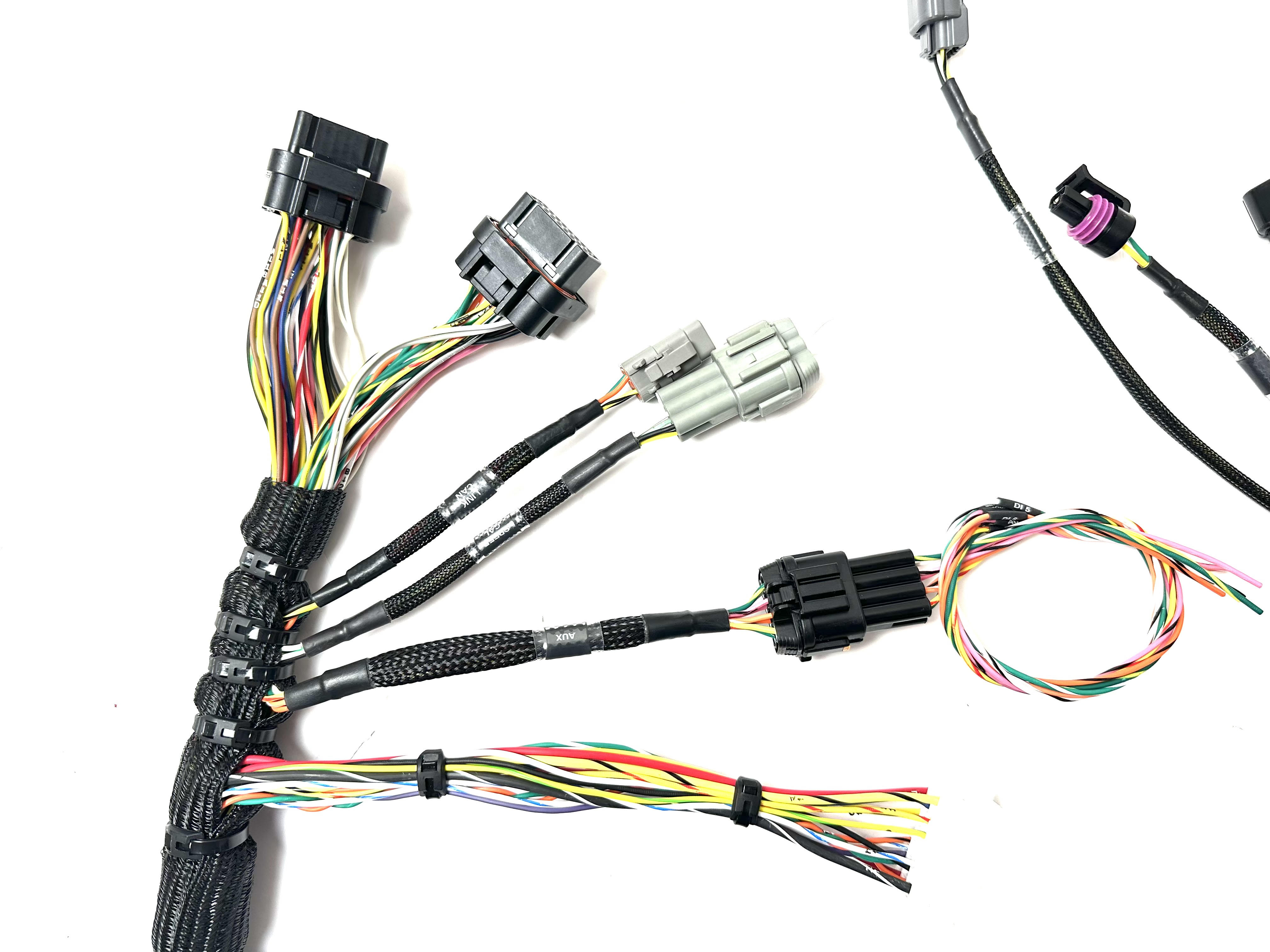 BMW E36 K20 / K24 Swap Harness for Link & Haltech ECUs Wiring Specialties