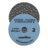 Weha Trilogy 3-Step Dry Diamond Polishing Pad, 4 in, Step 2
