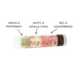 ( 3 )~ Merry Christmas ~ Green: Peppermint,  White: Vanilla Icing,  and Red: Gingerbread 

Each tube of Gettin Lippy lip balms offers 3 layers of flavor!