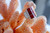 Coral, ring, red coral, resin, jewellery, silver, nz, new zealand, nz jewellers, repair services, blue coral, tiger coral, pendant, earring, studs, auckland