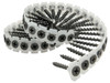 3.5 x 45mm Collated Drywall Screw Coarse (1000)