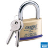 50mm Solid Brass Padlock & 2 Keys Mushroom Pin