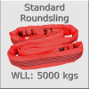 5000kg x 5mtr Circ./ 2.5mtr EWL Roundsling