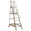 WS10 Warehouse Steps 10-Tread
