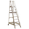 WS12 Warehouse Steps 12-Tread