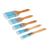 5pce Synthetic Brush Set