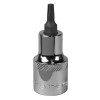 SBT018 TRX-Star Socket Bit T25 1/2in Sq Drive