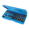 Torx Bits Set 15pce