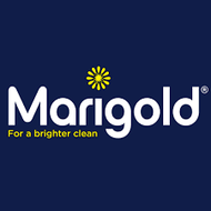 Marigold