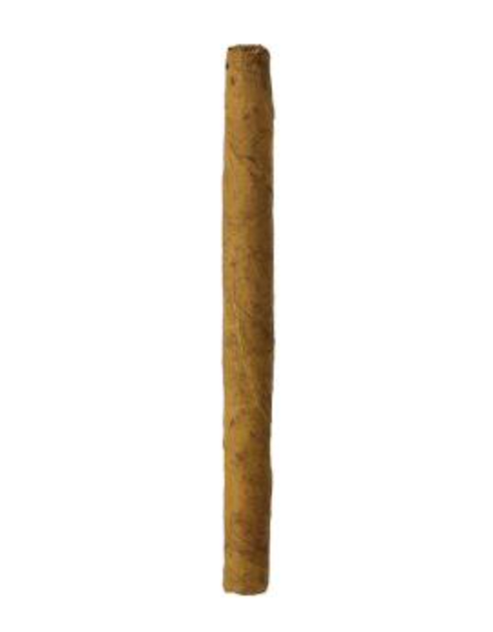 The Griffins Cigarillos Single Cigar