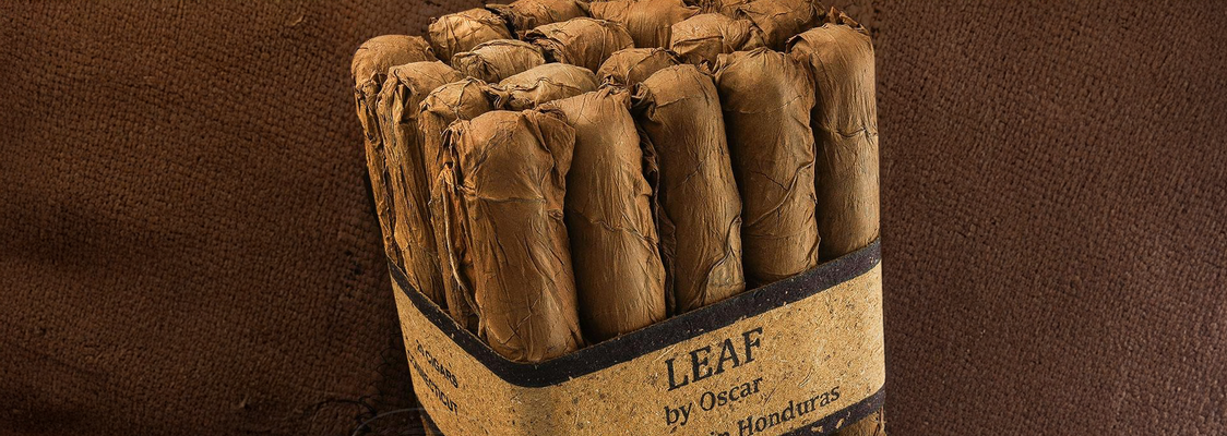 Leaf by Oscar Connecticut