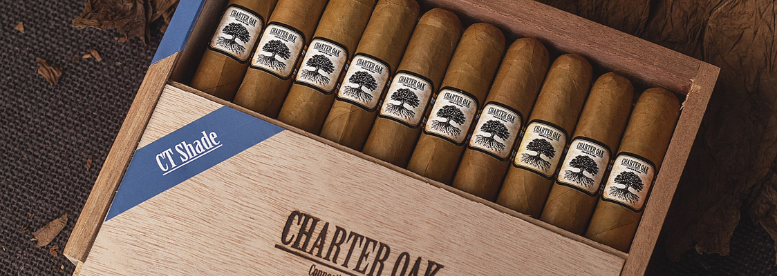 Foundation Charter Oak Shade