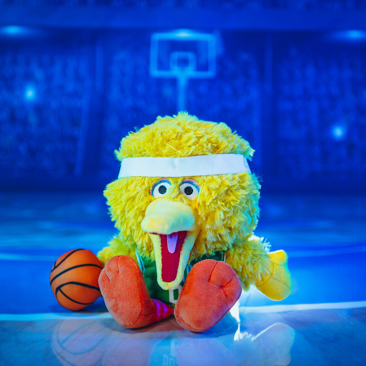 Celtics Bleacher Creatures Plush Big Bird