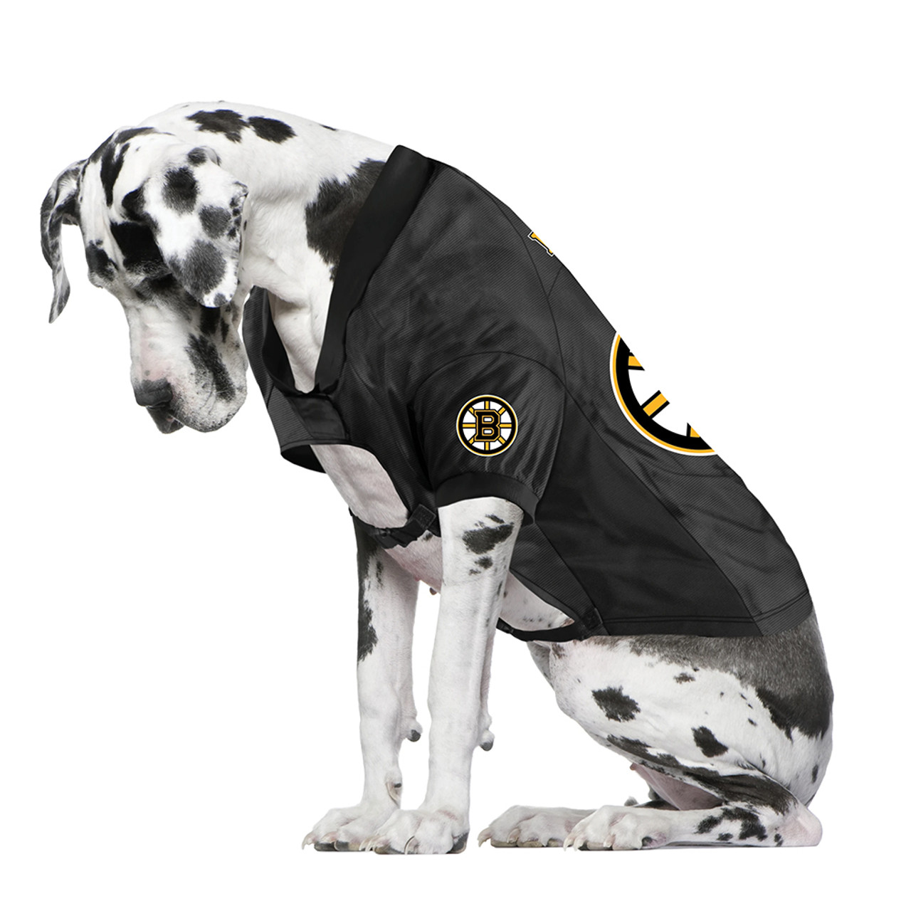 Dog hot sale bruins jersey